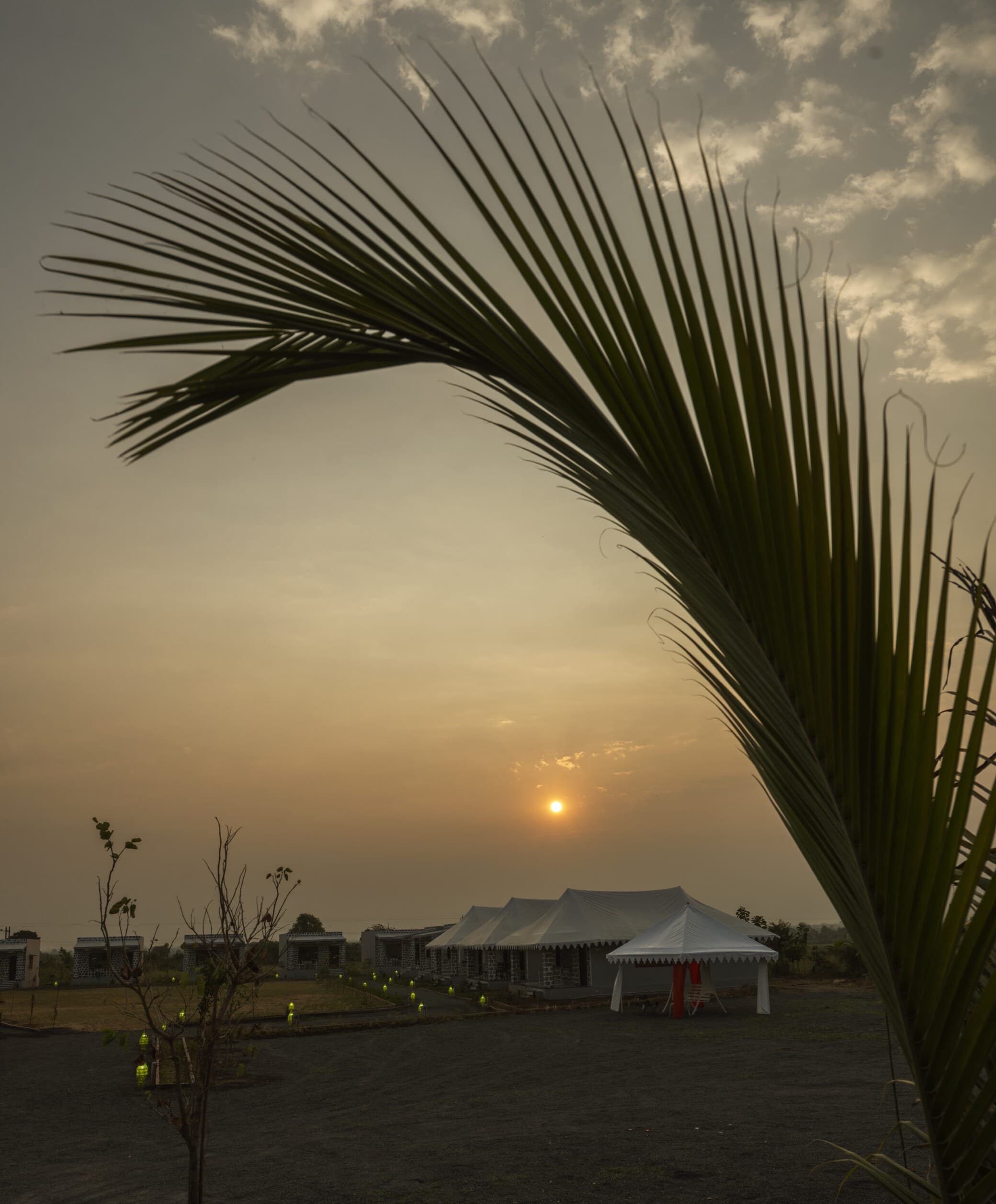 The sun setting over Upvan Jawai's tents and stone cottages, framed by a palm frond