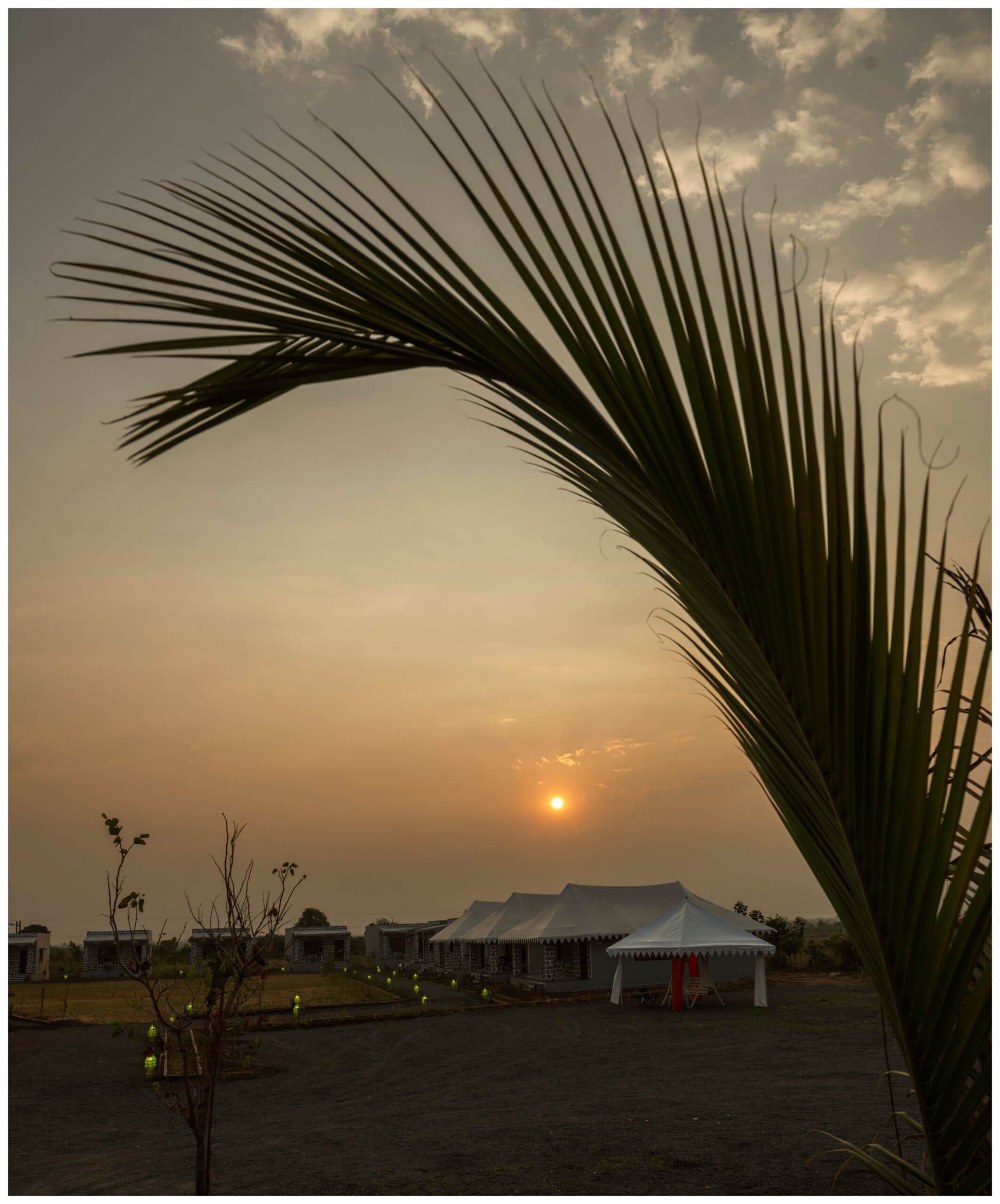 The sun setting over Upvan Jawai's tents and stone cottages, framed by a palm frond