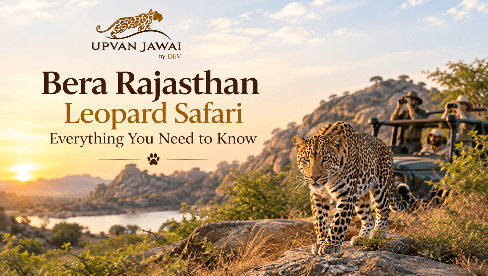 Bera Rajasthan Leopard Safari: Everything You Need to Know